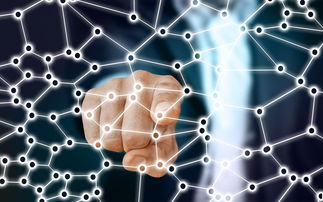 星空体育官网-大豆谈判背后的供应链战略，中方发声透露哪些信号？，大豆供求